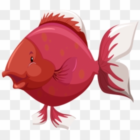 Red Fish Png - Body Part Of Fish, Transparent Png - fish clip art png