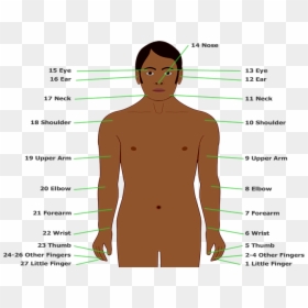People Body, HD Png Download - allison argent png