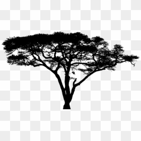 Clipart Silhouette Big Image - Transparent Background Tree Silhouette Png, Png Download - shrub silhouette png