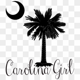 Clip Art Flag With Palm Tree And Moon - South Carolina Palmetto Tree Png, Transparent Png - crescent moon emoji png