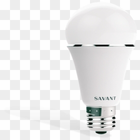Savant Bulb, HD Png Download - edison bulb png