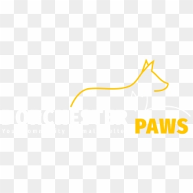 Graphic Design, HD Png Download - white paw png