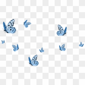 #cute #aesthetic #tumblr #butterflies #butterfly #blue - Flying Butterfly Png Hd, Transparent Png - cute butterfly png