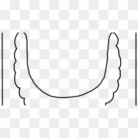 Line Art- - Line Art, HD Png Download - leprechaun beard png
