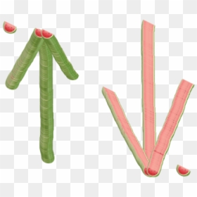 Emoji Ink Watermelon Example - Christmas Tree, HD Png Download - watermelon emoji png