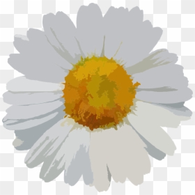 Daisy Vector Png, Transparent Png - white petals png