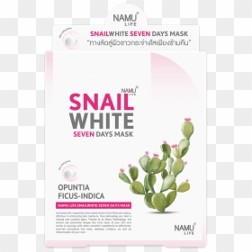 Snail White Snail White 7 Days Mask, HD Png Download - mexican cactus png