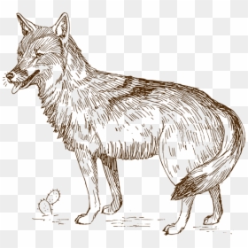 Vector Clipart Wolf - Realistic Wolf Clip Art, HD Png Download - wolf vector png