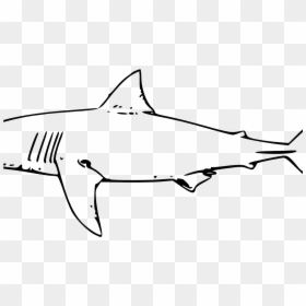 Great White Shark Clipart - Easy Sketch Shark Drawing, HD Png Download - shark clipart png