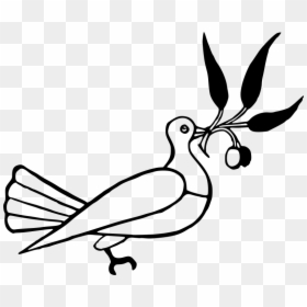 Dove With Olive Branch - Elements Of Form Drawing, HD Png Download - dove with olive branch png