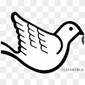 Dove With Olive Branch Clipart , Png Download - Cartoon Transparent Dove Png, Png Download - dove with olive branch png