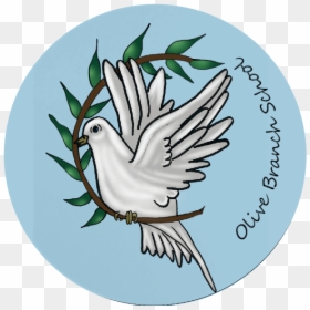 Olive Branch School - Montessori Education, HD Png Download - dove with olive branch png