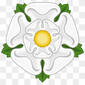 York Rose, HD Png Download - white rose png