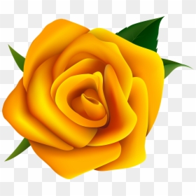 Free Yellow Rose Vector, HD Png Download - white rose png
