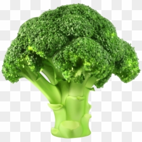 Clipart Broccoli, HD Png Download - vegetables png