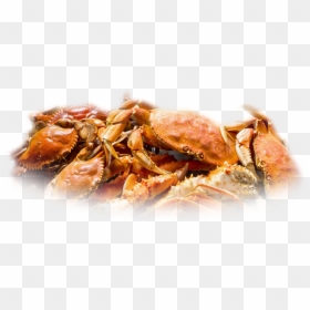 Cooked Blue Claw Crab Transparent, HD Png Download - crab png