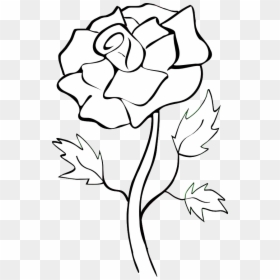 Red Rose White And Black, HD Png Download - white rose png