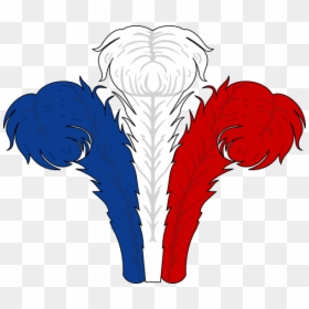 Red White And Blue Feathers, HD Png Download - feathers png