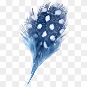 Drawing, HD Png Download - feathers png