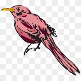 Feather, HD Png Download - feathers png