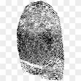 Fingerprint Transparent, HD Png Download - fingerprint png