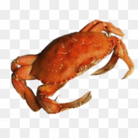 Crab Transparent Background, HD Png Download - crab png