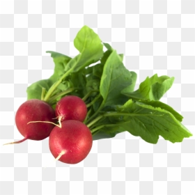 Vegetables Png, Transparent Png - vegetables png