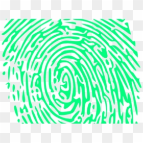 Fingerprinting Services, HD Png Download - fingerprint png