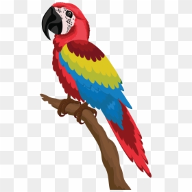 Free Download Colorful Parrot Vectors, HD Png Download - feathers png