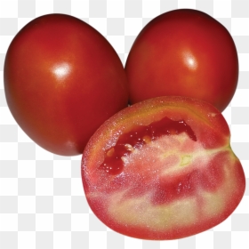 Plum Tomato, HD Png Download - vegetables png