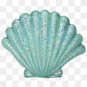 Seashell Png, Transparent Png - seashell png
