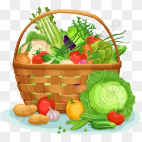 Basket Of Vegetables Vector, HD Png Download - vegetables png