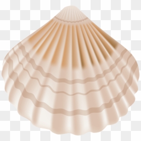 Transparent Background Seashell Png, Png Download - seashell png