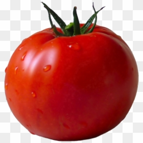Single Tomato Transparent Background, HD Png Download - vegetables png