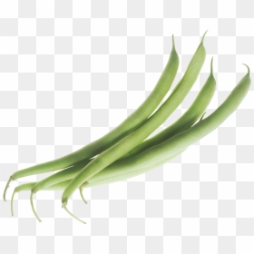 Green Beans Clip Art, HD Png Download - vegetables png