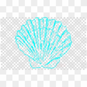 Salgados Png, Transparent Png - seashell png