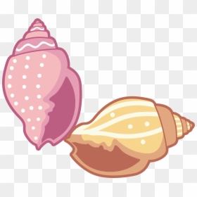 Seashells Cartoon Png, Transparent Png - seashell png
