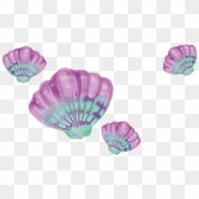 Purple And Teal Seashells, HD Png Download - seashell png