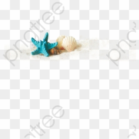 Hermit Crab, HD Png Download - seashell png