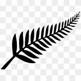 New Zealand Leaf Vector, HD Png Download - fern png
