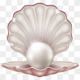 Seashell Png, Transparent Png - seashell png