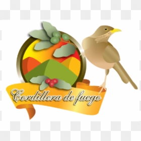Illustration, HD Png Download - fuego png