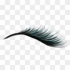 Eyelash Extensions, HD Png Download - eyelash png