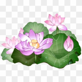 Transparent Background Lotus Flowers Png, Png Download - flower clipart png