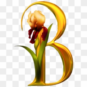 Beautiful Image Of Alphabets, HD Png Download - flower clipart png