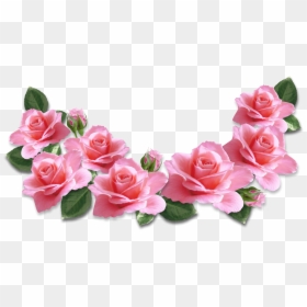 Pink Roses For Valentine's Day, HD Png Download - flower clipart png
