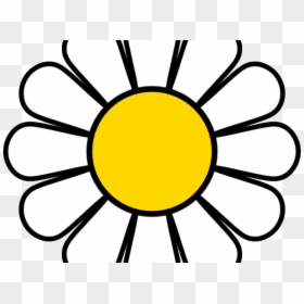 Cute Daisy Png, Transparent Png - flower clipart png