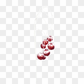 Snowcapped Dangling Red Ornament Spray - Arch, HD Png Download - hanging christmas ornament png