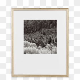 Certificate - Picture Frame, HD Png Download - certificate frame png