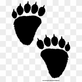 Bear Paw Print Clip Art - Bear Paw Print Clipart, HD Png Download - bear paw print png